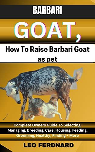 BARBARI GOATS, How To Raise Barbari Goat as pet : Complete Owners Guide To Selecting, Managing ...