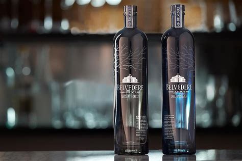 The 8 Best Top Shelf Vodka Brands Worth Savoring The Manual