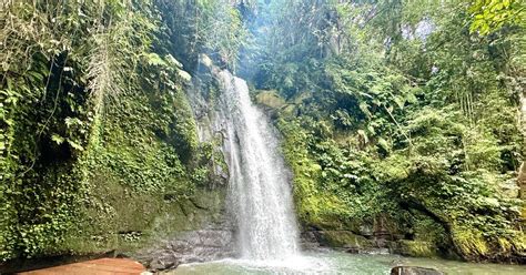 Ubud Cascades rizières et balançoire de Bali PRIVATE TOUR GetYourGuide