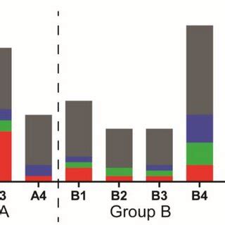 Post Mortem Macroscopic Lesion Scoring Lesions Observed Were Scored