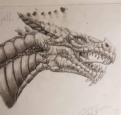 Pencil sketch: Dragon by Dethorey on DeviantArt