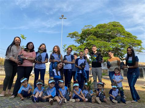 Alunos da Educação Adventista plantam mudas de Ipê em comemoração ao