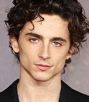 Timothee Chalamet Visual Voices Guide Behind The Voice Actors