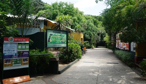 Cierre Del ZoolÓgico De Barranquilla Zoológico Cerrará Sus Puertas Por