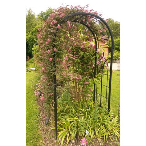 Arche Princess Arche Fleurs Rosiers Tuteur Plantes De Jardin Passage