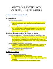 Chapter Assessments Docx Anatomy Physiology Chapter