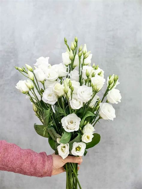 Lisianthus Eustoma Rosita White Wei Blumigo Hochzeitsgestecke