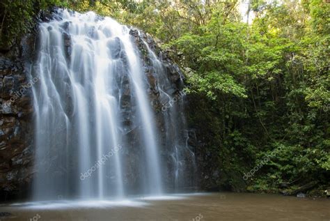 Cascades D Eau Qui Coule Sur Le Rocher Dans La Jungle Photo 8934332