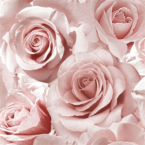 Blush Pink Desktop Wallpapers Top Free Blush Pink Desktop Backgrounds