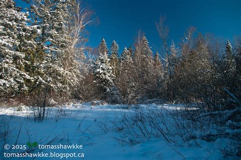 Tomass Hawkke S Naked Nature