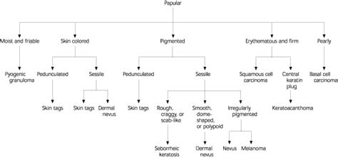 Common Benign Skin Tumors Aafp