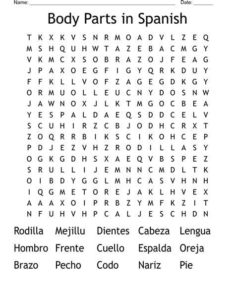 Body Parts In Spanish Word Search WordMint