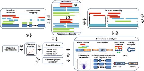 RNA‐seq: Applications and Best Practices | IntechOpen