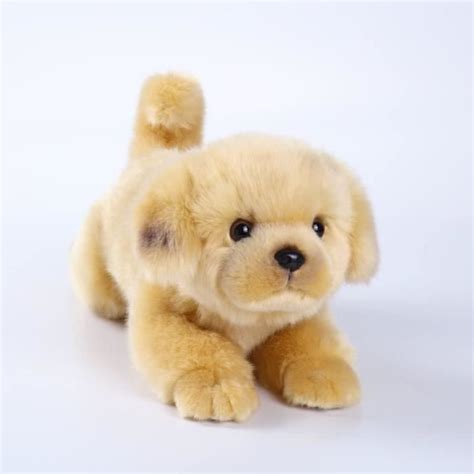 Chien de Simulation d animal en Peluche Golden Retriever Réaliste et