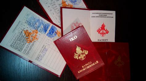 Документы каратэки – Будо-паспорт. | Федерация киокусинкай по ...