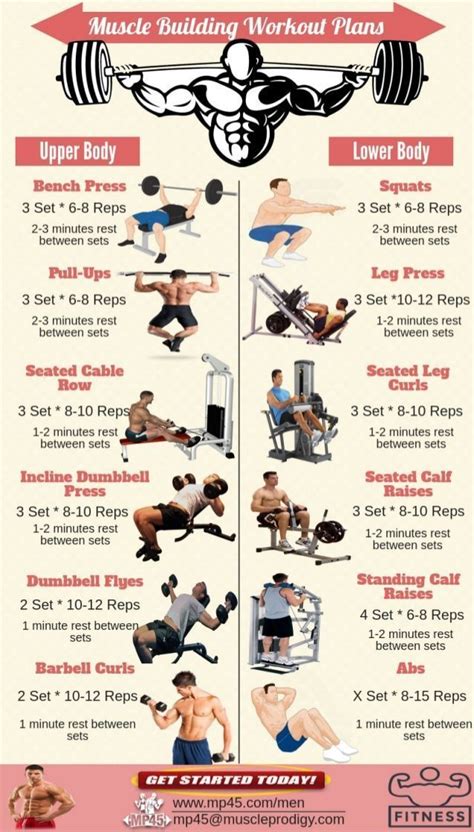 Muscle Building Workout Routine For Men