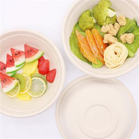 Compostable Eco Friendly Sugarcane Bagasse Biodegradable Disposable