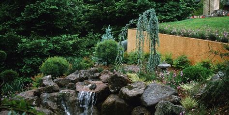 Moss Rock Garden Design Fasci Garden