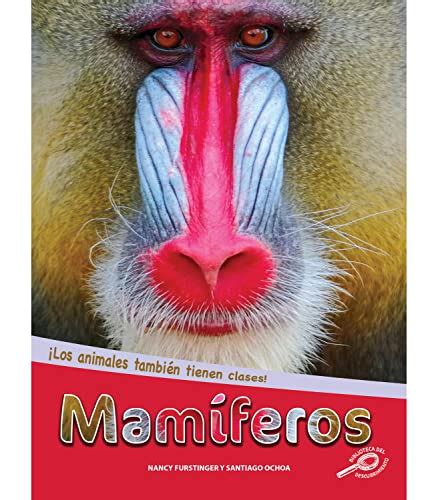 Características y ejemplos de mamíferos carnívoros