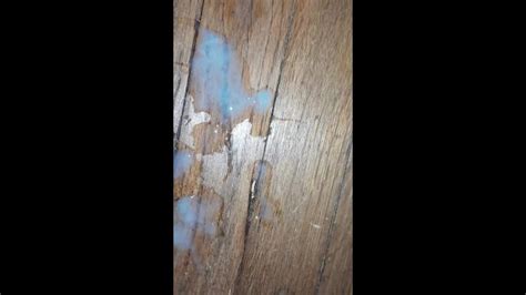 我为你射精 Pornhub Gay