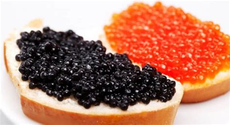 Most expensive Almas beluga caviar cost – Arad Branding