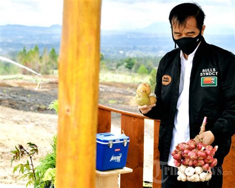 Jokowi Tinjau Kawasan Lumbung Pangan Di Humbang Hasundutan Foto