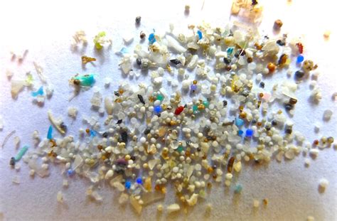 Scientists Find Plastic Hotspots In The Deep Ocean Yale E360