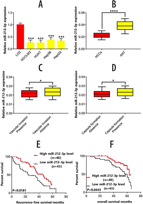 Mir P Is Down Regulated In Hcc And Is Associated With Poor