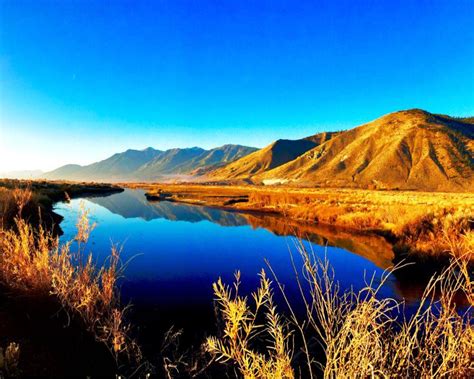 Carson Valley Trails Association