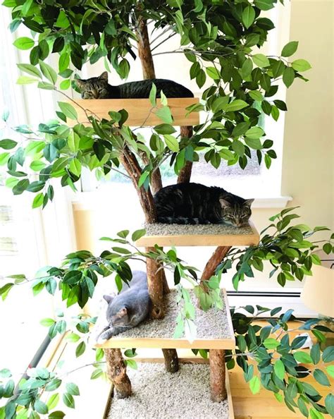 Cool Cat Trees Diy Cat Tree Cool Cats Unique Cat Trees Cat Tree