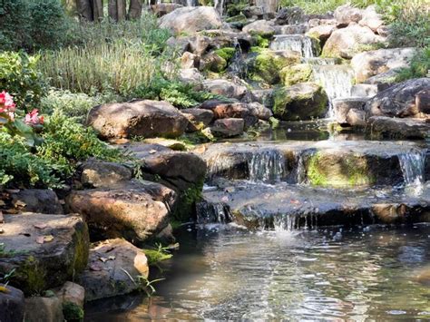 Premium Photo | Tropical landscaping in home garden