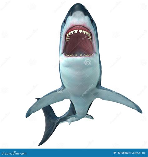 Megalodon Cartoons, Illustrations & Vector Stock Images - 589 Pictures