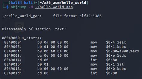 Linux X86 Assembly How To Make Our Hello World Usable As An Exploit