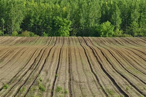 Imagen Gratis Agr Cola Campo Colina Suelo Madera Paisaje