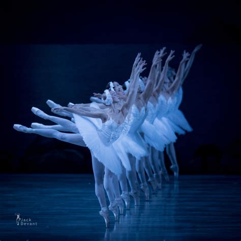 See Other Sets From 4 11 2015 Swan Lake