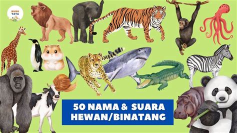 Belajar Mengenal Nama Hewan Binatang Dan Suaranya Anak Paud Tk