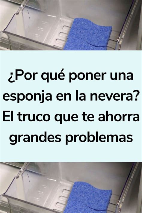 Por Qu Poner Una Esponja En La Nevera El Truco Que Te Ahorra Grandes