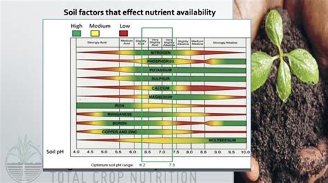 Soil Ph And Nutrient Availability Powerrich