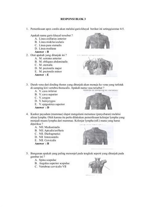 Pdf Blok Anatomi Fisiologi Biokimia Histologi Dokumen Tips