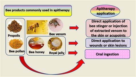 Hive Products And Apitherapy Sample