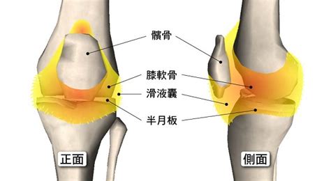 膝關節疼痛迷思三：為什麼關節疼痛積水抽不完？ Drsky 名冠診所