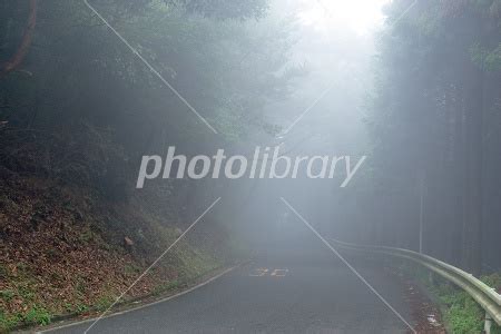 photolibrary