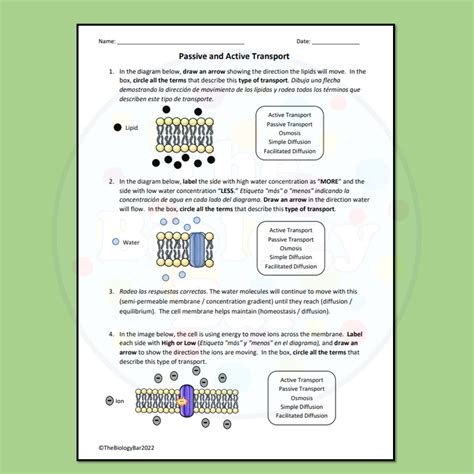 Esl Biology Cell Transport Worksheet Made By Teachers Worksheets Library