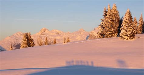 Book With Maxime Gay On Manawa Manawa