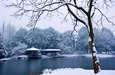 煮雪烹茶，听雪敲竹古人的诗意冬天 百科ta说