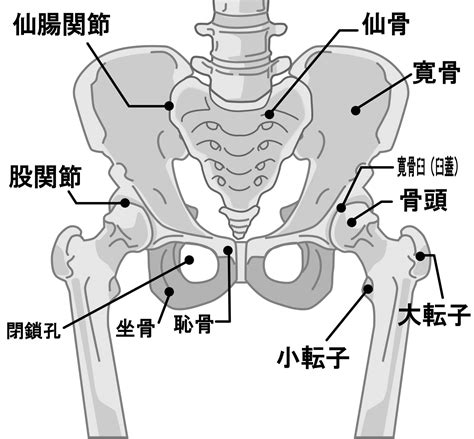 寝たままok【股関節のつまり感】を解消！違和感を5分ですっきり流す「ヨガストレッチ」 ヨガジャーナルオンライン