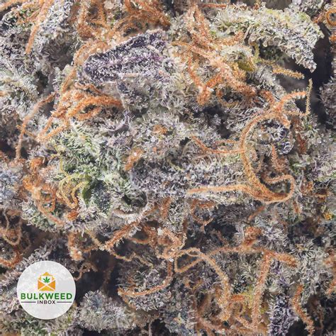 Chocolope AAA Buy Weed Online Online Dispensary