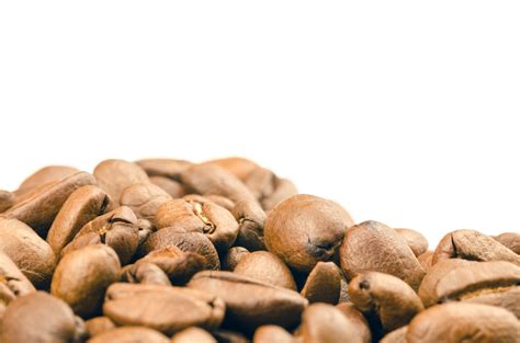 Selective Focus Photography of Coffee Beans · Free Stock Photo