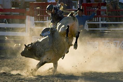 Professional Bull Rider Killed During Competition in Denver