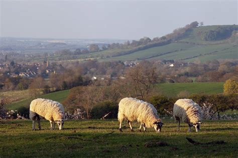 10 Best Hiking Trails in The Cotswolds - The Cotswolds' Most Popular ...